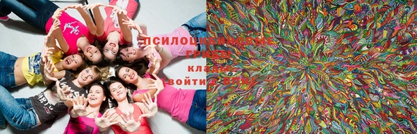 ешки Богданович
