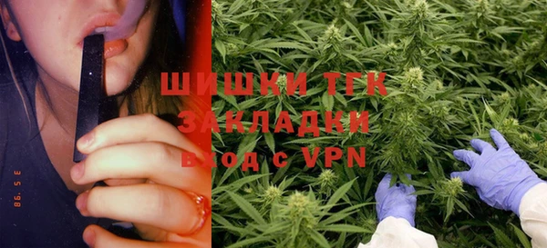 ешки Богданович